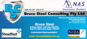 Bruce Steel ConsultingBusinessCard1