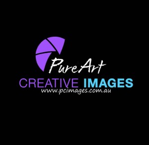 Pure Art Creative Images